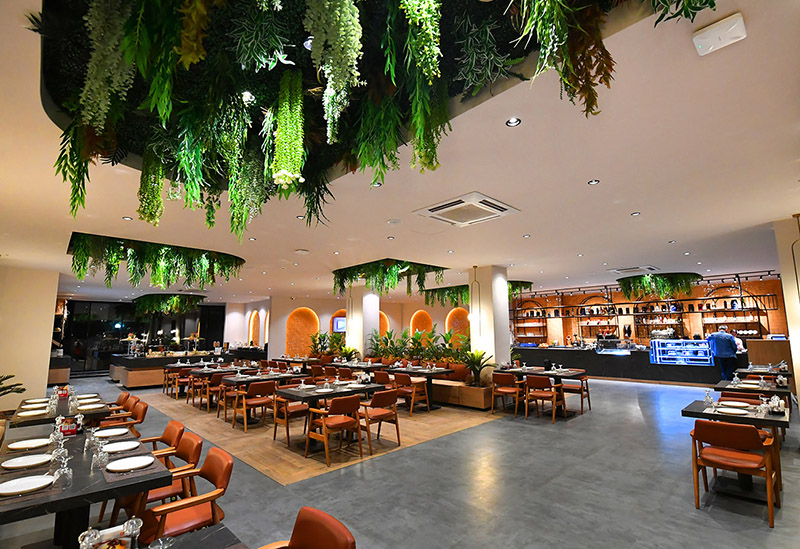 Dobos Lounge