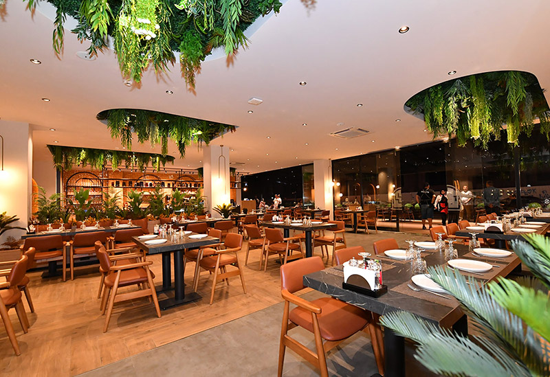 Dobos Lounge